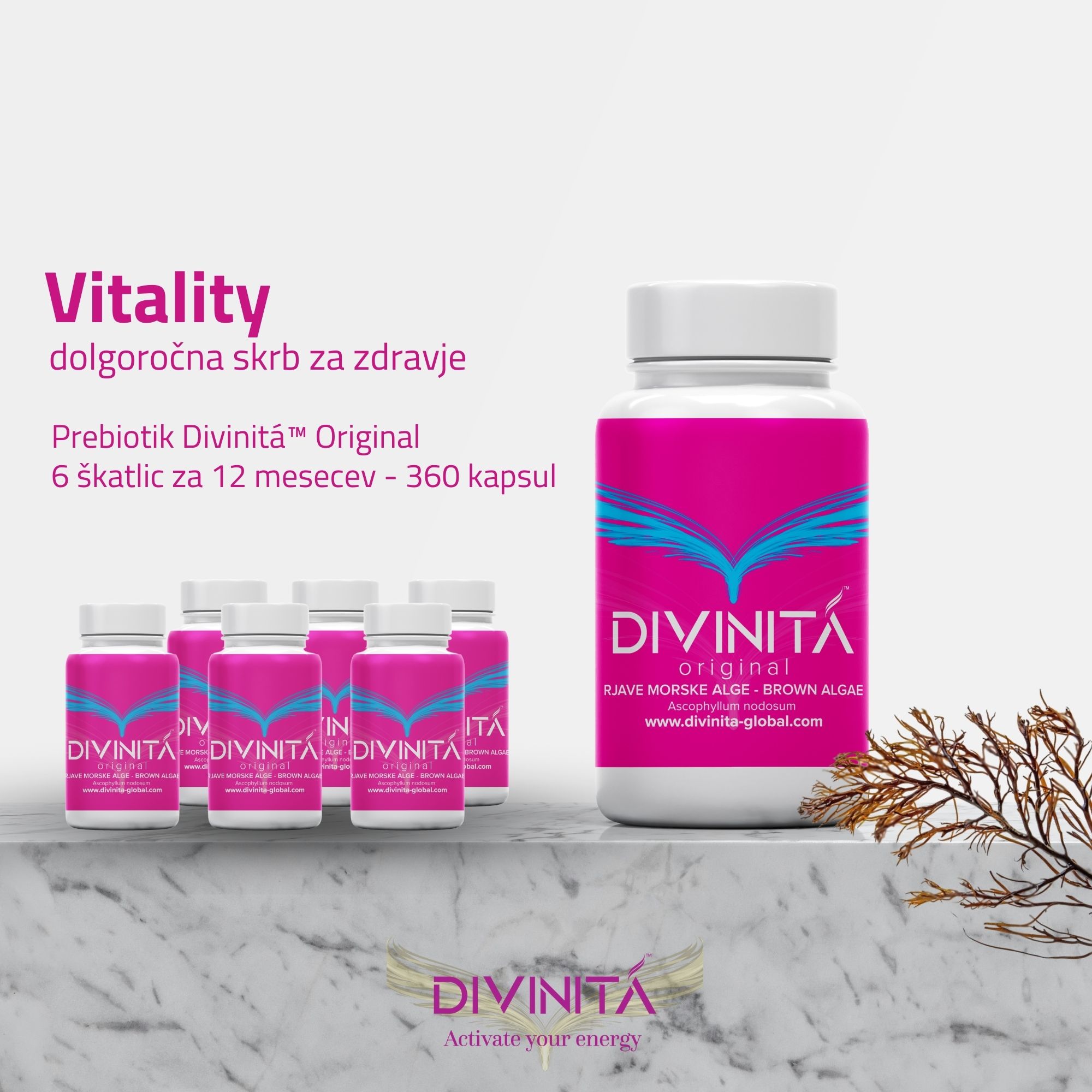 Divinitá Original - Vitality