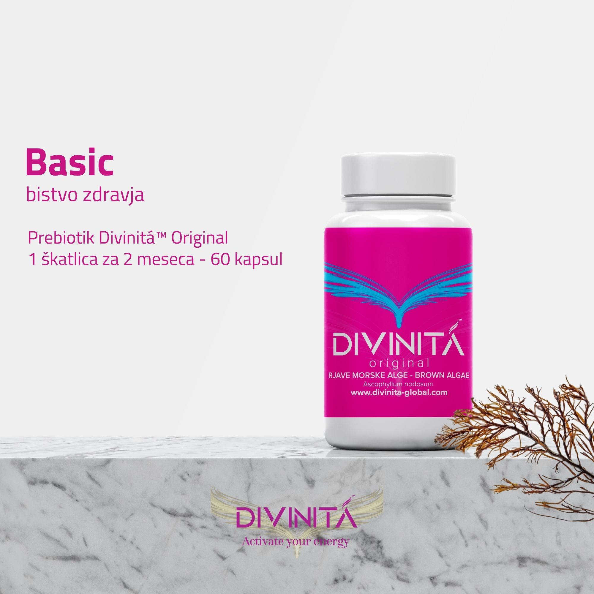 Divinitá Original - Basic