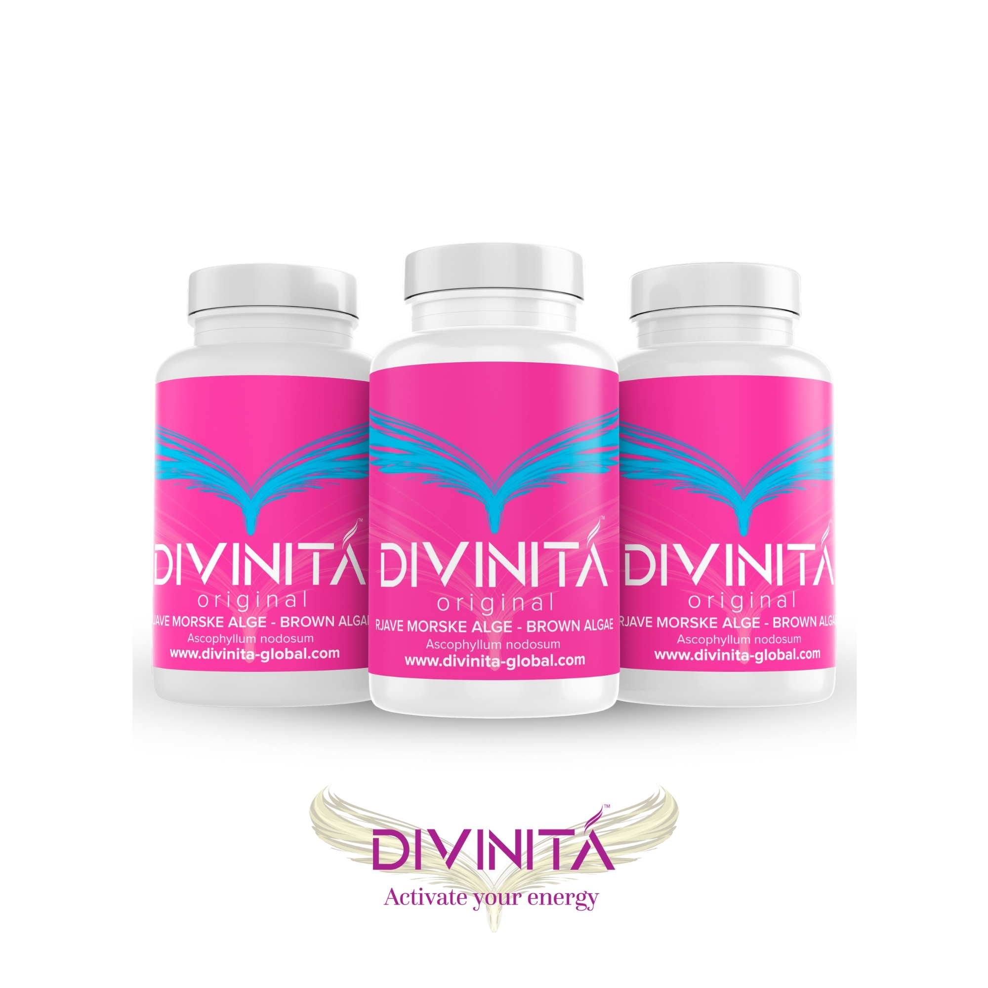 Divinitá Original - Basic