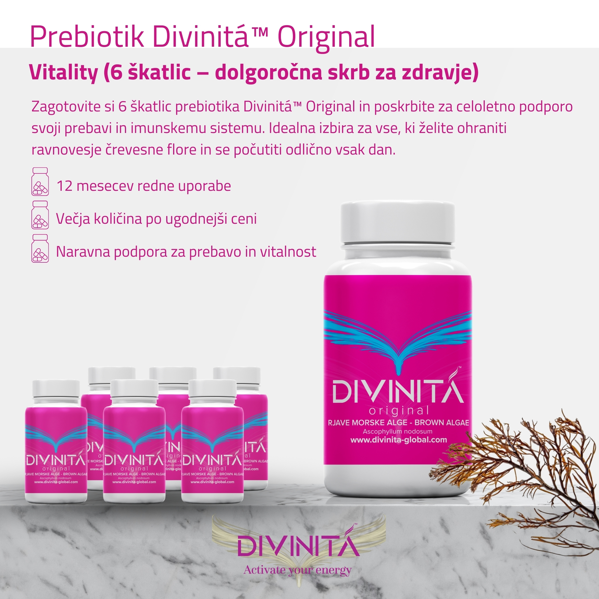 Divinitá Original - Vitality