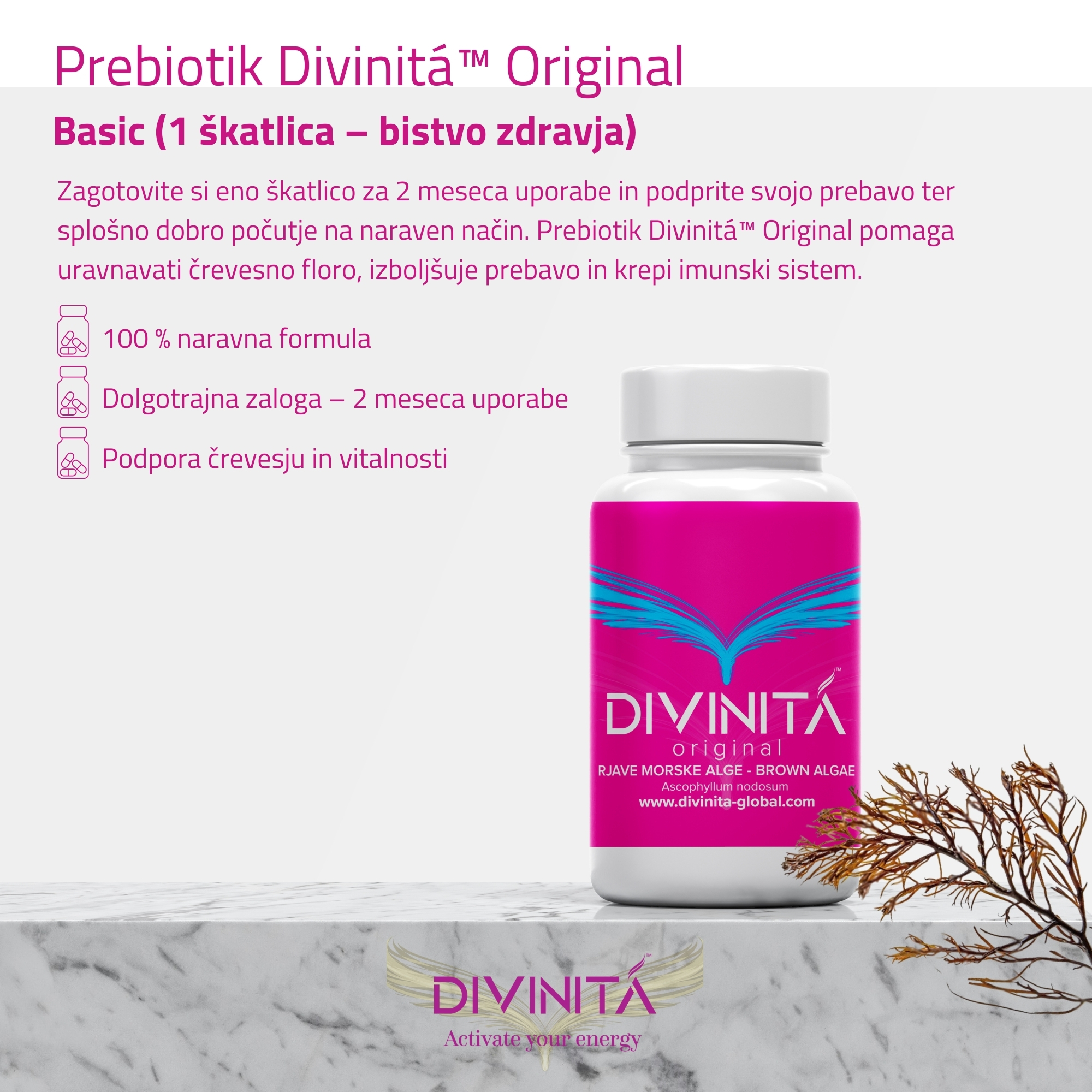 Divinitá Original - Basic